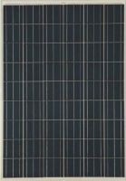 Poly Solar Panel SFP54 200W-225W