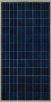 Poly Solar Panel SFP72 270W-300W