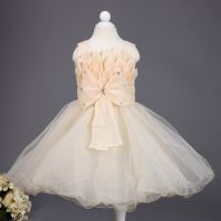 Princess clothes for 2-8 age girl party dress elegant flower summer wear