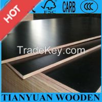 Factory Supply All Kinds of Shuttering Ply, Commercial Ply