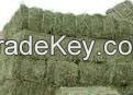 Alfalfa hay for Animal Feed