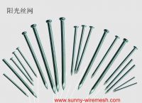 Common nail with high quality and low price