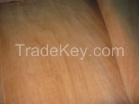 supply Bintangor veneer