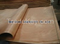 sell Okoume face veneer