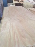 Birch veneer