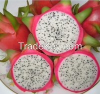 Dragon fruit