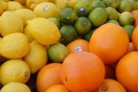 We are suppliers of fresh fruits like Lemon, lime, oranges apples and other fruit