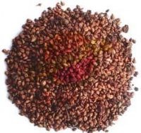 Grape seed extract powder polyphenol 20%-40%