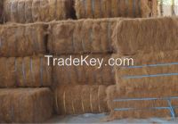 Vietnam coconut fiber whatsapp 0084935337165