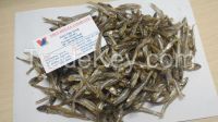 DRIED ANCHOVY FISH DRIED SPRATS MULLET BULLHEAD Pla Sai Tan 2016 (Whatsapp viber 84 98 358 7558)