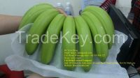 HIGH QUALITY AND BEST PRICE - VIETNAM CAVENDISH BANANA