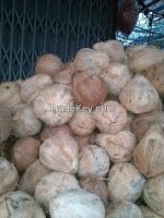 SEMI HUSKED COCONUT FROM VIETNAM - HIGH QUALITY AND AFFORDABLE PRICE FOR EXPORTING