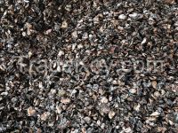 cashew nut shell oil pressed