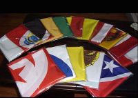 Sell nation flag,country flag,states flag