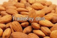 Sweet almond nuts