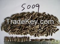 Seeds and Kernel. sunflower seeds. pumpkin seeds