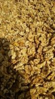 Walnut Kernels