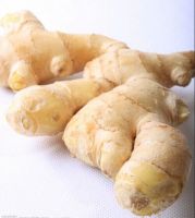 Air Dried Ginger