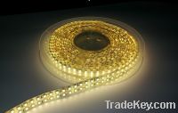 Double row ultra bright SMD3528 240LEDs per meter strip light