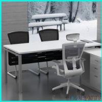 Reception Desk with Office Salon Beauty Site (CT executive desk)