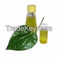 Pipper Betle Leaf Oil