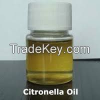 Citronella Oil