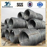 Hot Rolled Steel Wire Rod SAE10061008B with Low Carbon6.5 8mm