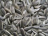 SUNFLOWER SEEDS