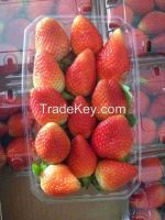 FRESH STRAWBERRIES