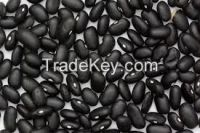 ORGANIC BLACK BEANS