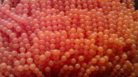 TROUT/SALMON FISH EGGS