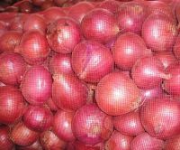 FRESH RED ONIONS/TOMATOES/CARROTS