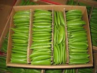 FRESH GREEN PEAS/GREEN BEANS