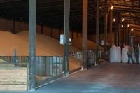 CHICKEN FEED/CATTLE FEED/FISH FEED/ANIMAL FEED