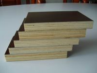 Sell black and brown  film faced plywood