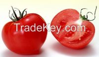 Tomato extract lycopene