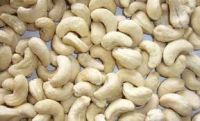 Cashew Nut and Raw Cashew Nut For Sale