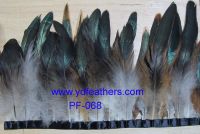 feather fringe