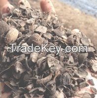 Malaysia Palm Kernel Expeller, Malaysian Palm Kernel ...