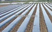 white and black mulch film for plastic agricultural planting