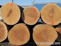 We Supply all types of timber available in Nigeria