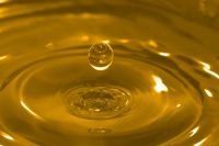 Sunflower oil for biodiesel