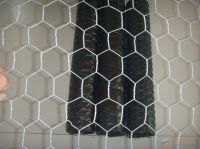 hexagonal mesh