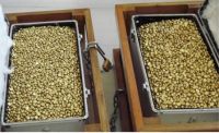 Sell GOLD NUGGETS