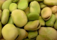 Vicia Beans from Ukraine