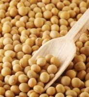 Soybean from Ukraine