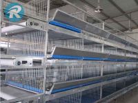 hot-dipped welded wire mesh chicken cages for poultry farming