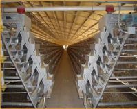 Hot-dip galvanized A-type broiler cage