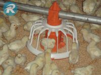 Pan feeding system for broiler chicken