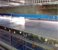 H-frame broiler cage with auto nipple drinkers